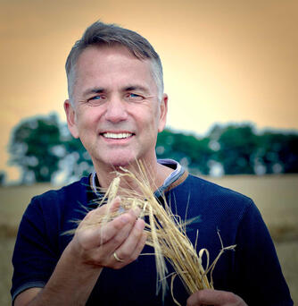 braucommune freistadt